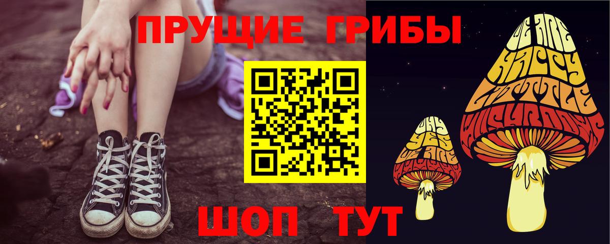 Псилоцибиновые грибы Psilocybe  наркотики  Вход с VPN  Партизанск  Галлюциногенные грибы ЛСД 